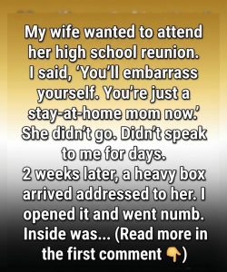 I called my wife “just a homemaker” for 10 years. Then a mysterious box arrived at our door, revealing the $500,000 secret she’d been hiding from me.